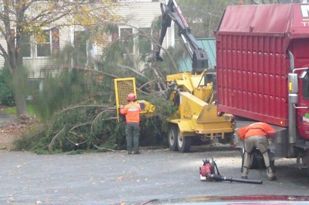 Sandy03.jpg