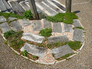 P1070556ss.jpg