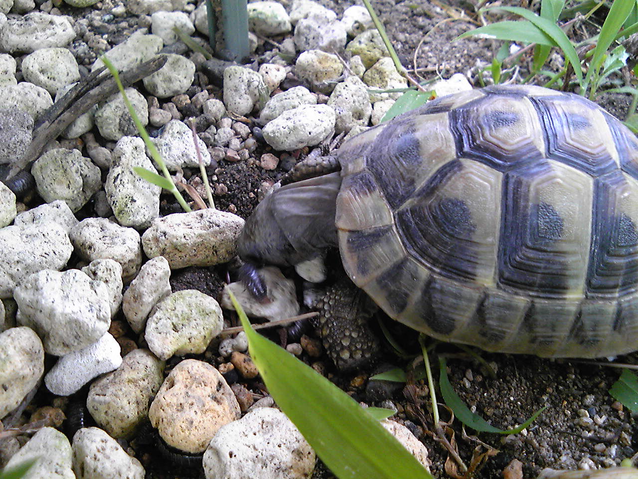 130721_143731.jpg