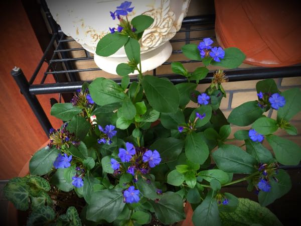 rblog-20160630184033-01.jpg