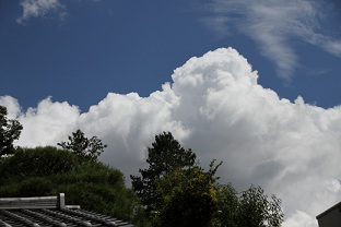E7D_9220-2.jpg
