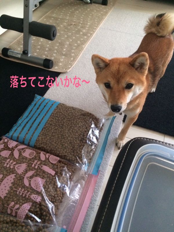 rblog-20161221001611-02.jpg