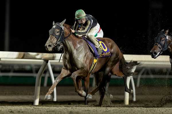 第24回エーデルワイス賞 が行われました 地方競馬の楽天競馬 日替わりライターブログ 楽天ブログ