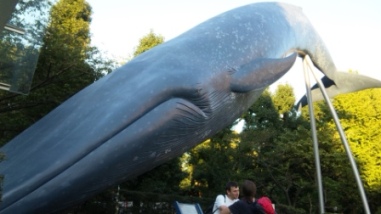 13918くじら２.JPG