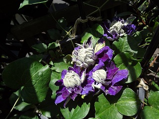 DSC01069.jpg