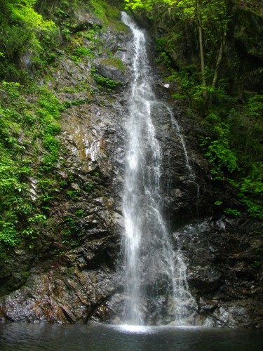 払沢の滝 (5) (375x500).jpg