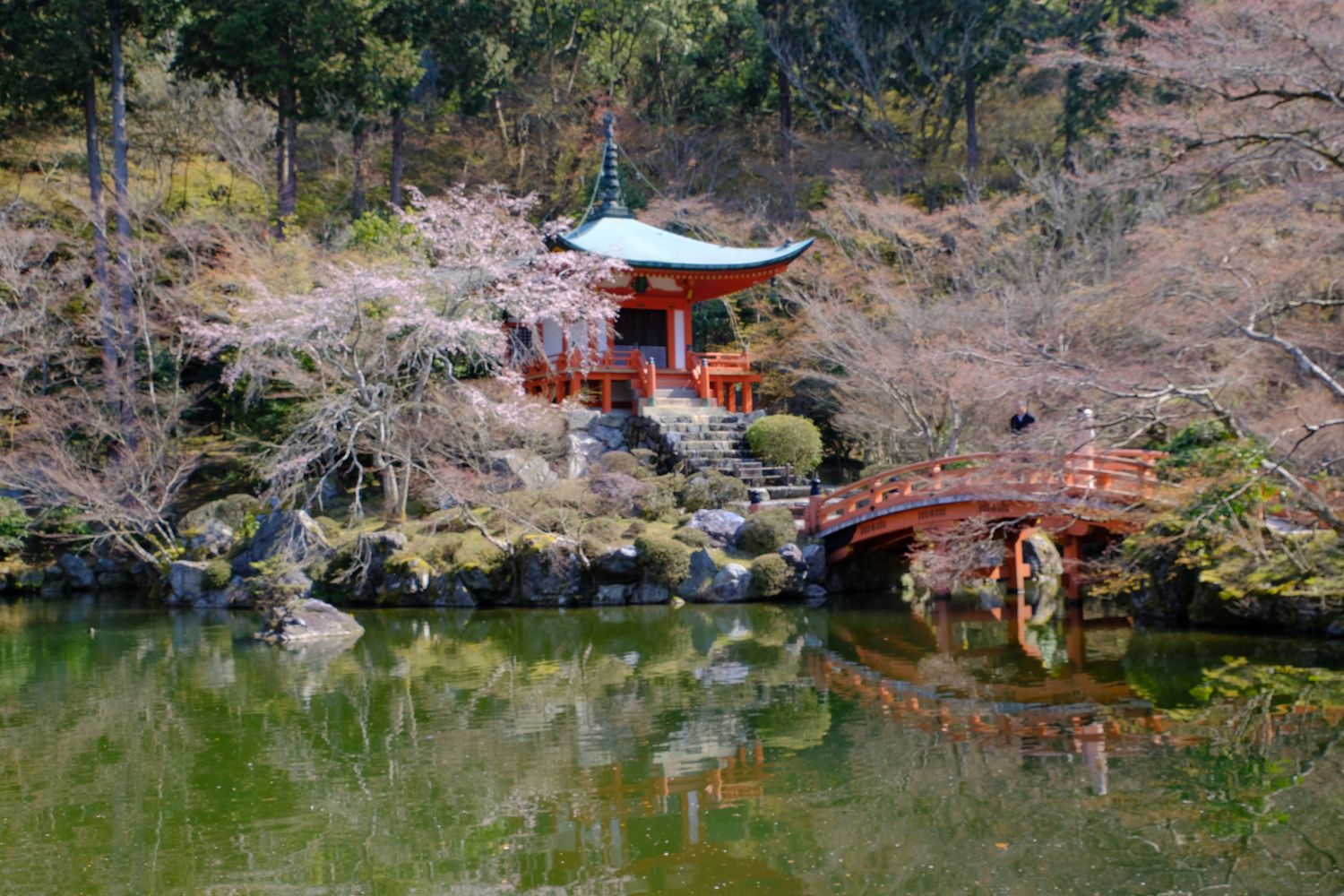 醍醐寺の桜。池にうつる美しい桜