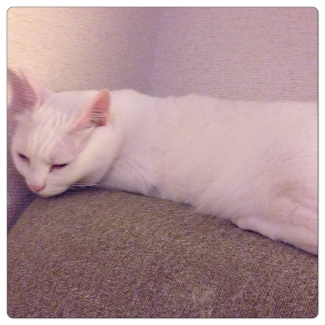 rblog-20130615222100-00.jpg