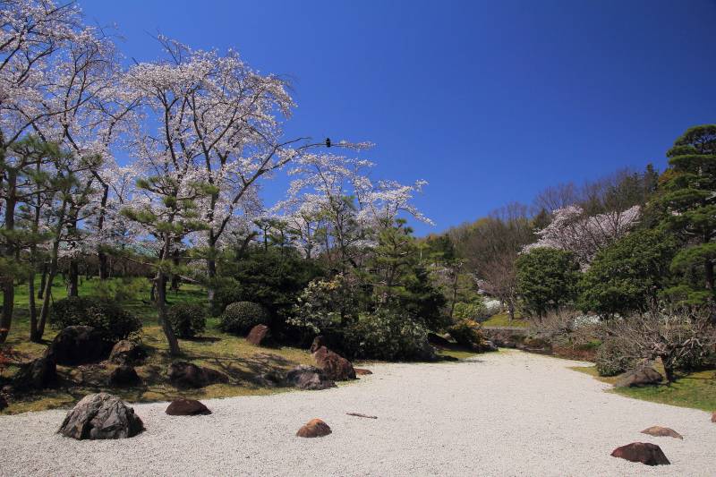 万博記念公園_008.jpg