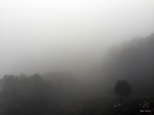 何も見えねぇ（北島康介ふう）本日2度目