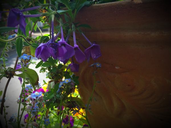 rblog-20160430165450-00.jpg