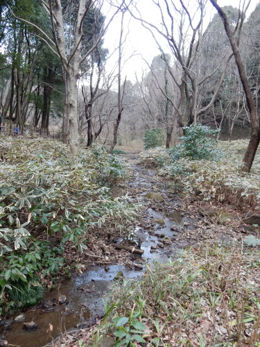 DSCN0029b20160131.jpg