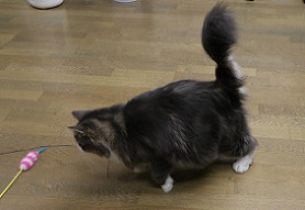 7D2_2087-24.jpg