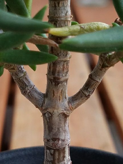 rblog-20170806083752-08.jpg