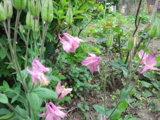 120603_133423.jpg