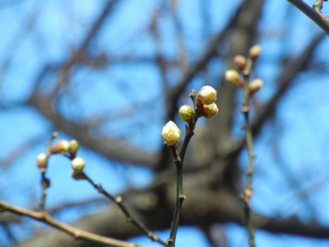 DSCN6793.JPG