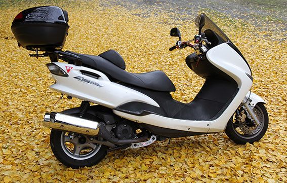 マジェスティ125-03♪