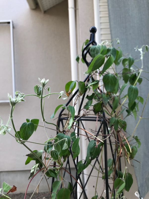 rblog-20180408161916-04.jpg