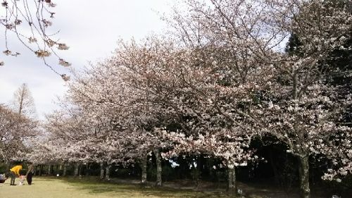 rblog-20180325054510-02.jpg