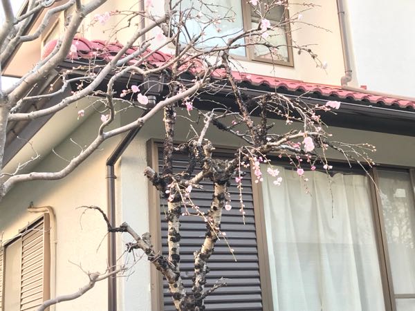 rblog-20180325191037-04.jpg