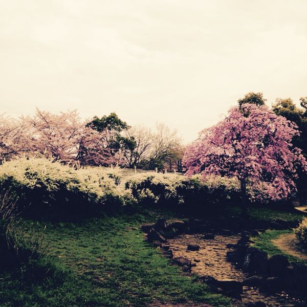 rblog-20150407014352-02.jpg