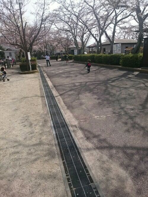 rblog-20160401164155-01.jpg