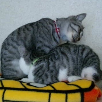 20120618_3.jpg