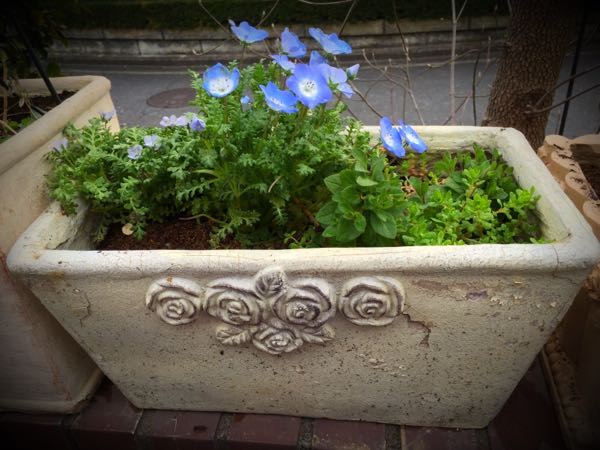 rblog-20160330183505-06.jpg