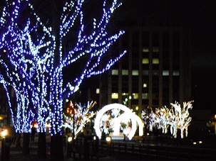 12.12.3 009.JPG
