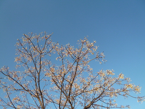 P1150002(1).JPG