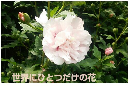 rblog-20160614064109-00.jpg