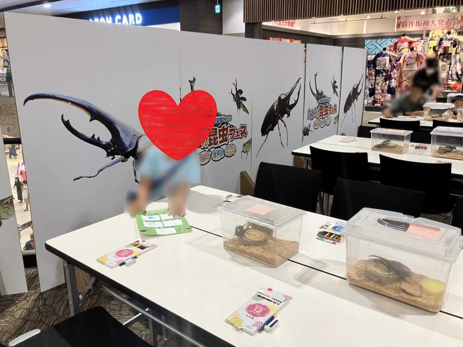イオンモール幕張新都心　小学館の図鑑NEO たんけん昆虫フェス