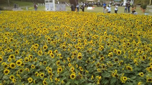 rblog-20180922173610-09.jpg