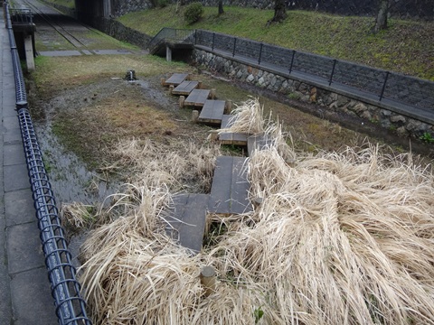 DSC00233.JPG