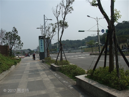2017_03060235.jpg