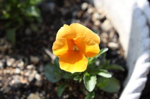 2015040203.JPG