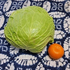 20150226キャベツ.jpg