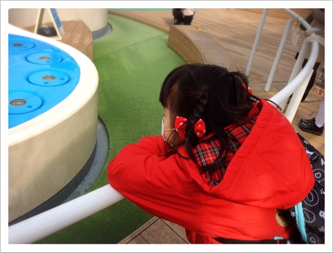 サンシャイン水族館・イルカショー