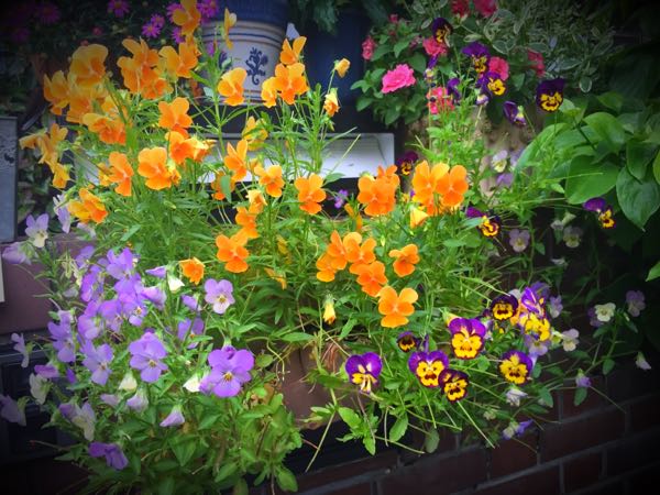 rblog-20160530191535-07.jpg