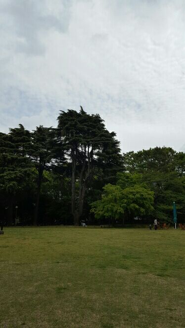 rblog-20160604161320-01.jpg