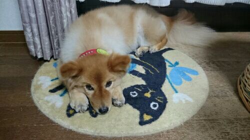 rblog-20161020233155-01.jpg