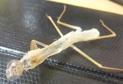 2013_0822_07152300.jpg