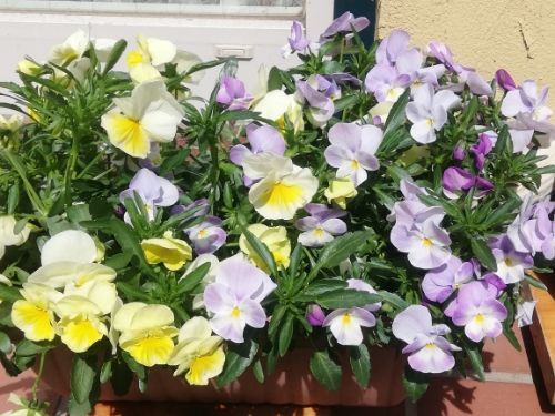 rblog-20190405160312-03.jpg