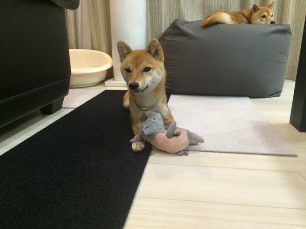 rblog-20160421234448-09.jpg