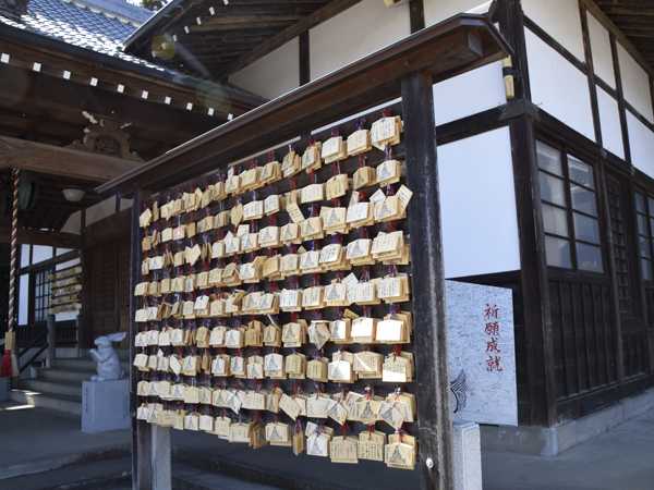 文殊寺の早咲き桜と、これから咲く芝桜 | 見栄子の熊谷らいふ♪ - 楽天