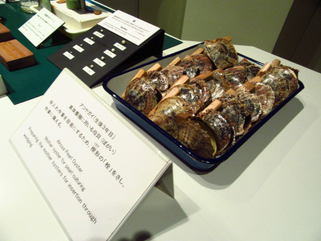 IMG_8260.JPG