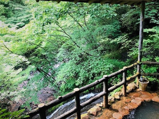 6/23 夏山登山シーズン到来!!深緑に包まれた赤城山は大自然いっぱいです!! 赤城山の温泉旅館 赤城温泉花の宿湯之沢館 | 赤城温泉花の宿湯
