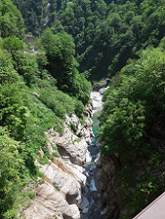 DSCN5740.JPG