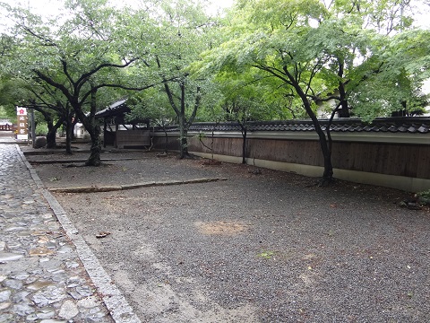 DSC09083.JPG