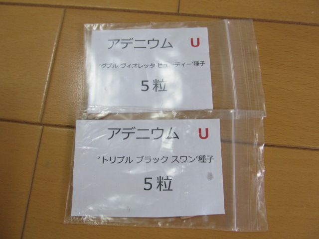 jur03 002.JPG